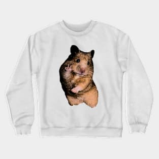 Funny Hamster Shirt, Hamster Meme Shirt, Cute Hamster Dank Meme Quote Shirt Out of Pocket Humor Crewneck Sweatshirt